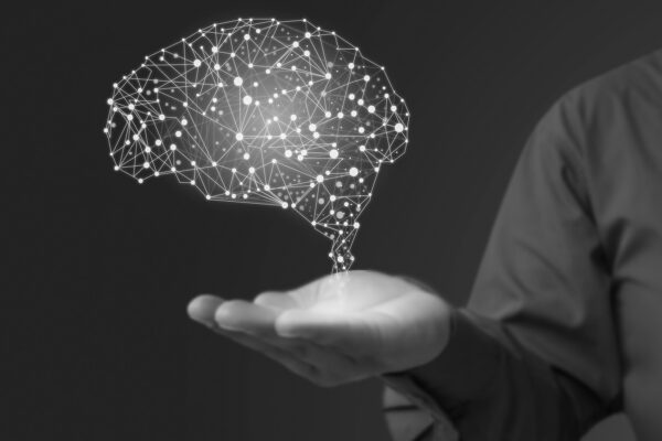 Exemple Intelligence Artificielle Web