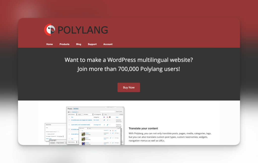 Polylang website meilleurs plugins wordpress.