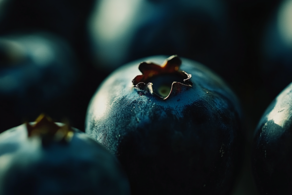 Flux 1.1 pro: A faster model with even more realistic AI images